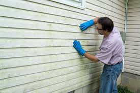 Affordable Siding Repair and Maintenance Services in Richville, OH